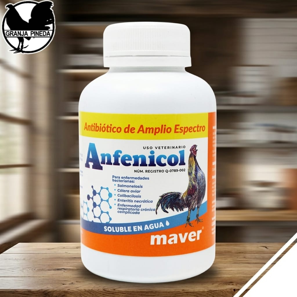 ANFENICOL 250ML Anfenicol 250ml - Image 1